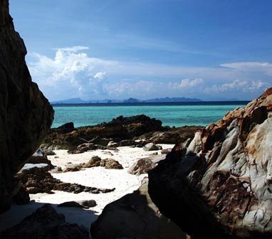 SEA EXCURSIONS SEA EXCURSIONS